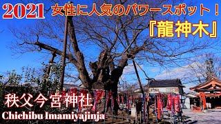 埼玉秩父 龍神伝説が残る最強パワースポット『今宮神社』欅の巨木【パワースポット】