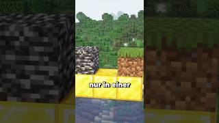 Dieses ITEM gab es NUR in Minecraft Bedrock…?! #minecraft #minecraftshorts #holidayswithyoutube