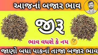 આજનાં જીરૂ નાં ભાવ | jiru na bajar bhav | market rate cumin | jiru | Ajay ahir