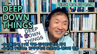 [책소개]DEEP DOWN THINGS-브루스 A. 슘-승산출판사-11월 혁명-입자물리학의 세계-우주를 구성하는 양자역학의 표준모형-쿼크와 렙톤