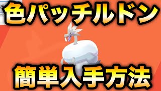 【ポケモン剣盾】色違いパッチルドン 簡単入手方法【ソード・シールド】