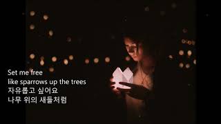 One summer night - 진추하 \u0026 아비 (한 여름의 밤)가사 한글자막