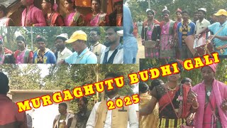 Budhi gali Murgaghutu kola 2025