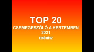 Top 20 csemegeszőlő a kertemben - 2021- első rész