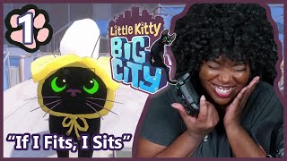 If I Fits, I Sits! | Little Kitty, Big City [Part1]
