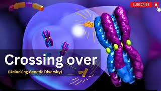"Crossing Over in Meiosis: Building Genetic Diversity in Offspring"