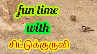 Fun time with chittu kuruvi | killadi girls !!!