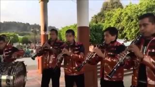 Banda Perla De Michoacán - Victory  | San Ángel Zurumucapio 2017
