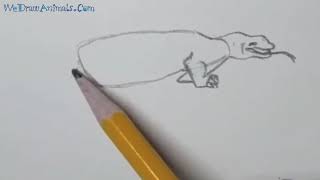 How to Draw a Komodo Dragon In 8 EASY Steps - GREAT for Kids \u0026 Beginners