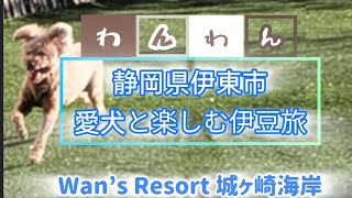 愛犬と楽しむ伊豆旅　静岡県伊東市Wan's Resort城ヶ崎海岸