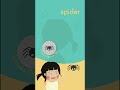 Spider | Insects Vocabulary | Learn English with Cici’s Monster Friends