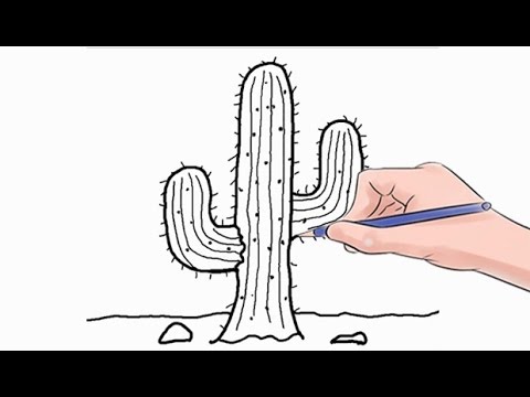 How To Draw A Cactus Easy Step By Step - YouTube