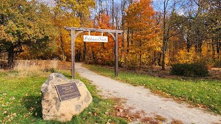 beautiful Ontario forest in the fall and summer colours with music | 漫步在加拿大安大略省鄉下秋季和夏季美景 #旅人雜記