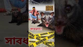 রাত্রিবেলার এই ভৌতিক প্রাণী কে কে দেখেছেন? Dangerous Nocturnal Animal Rescue #animalrescue #facts