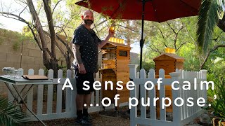 Collecting unique desert honey from Flow Hives in Las Vegas, Nevada