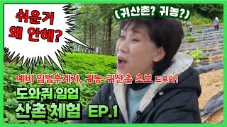 [도와줘 임업] 귀농vs귀산촌 나라면 이거 선택한다 / 산촌체험 EP.1