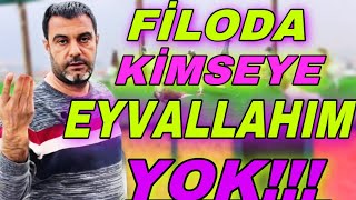 FİLO GÜVERCİNLERİNİ UÇURMAYANA SAYGI DUYMUYORUM!!! - TELEFONCU MEHMET