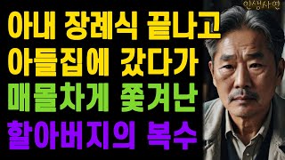 아내 장례식 끝나고 아들집에 갔다가 매몰차게 쫓겨난 할아버지의 복수 노년의 삶의 지혜 행복한 노후생활 부모자식갈등 사연 이야기 오디오북