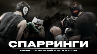 ДЕНЬ СПАРРИНГОВ. ПРОФЕССИОНАЛЬНЫЙ БОКС В РОССИИ