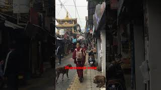 #Dharamsala India #เมืองธรรมศาลา อินเดีย