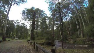 Kendalls B Camp, Rubicon Valley Historic Area, South West of Eildon, VIC