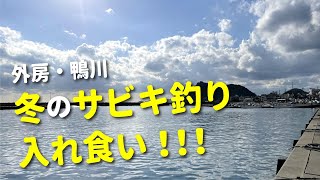 【外房・鴨川でサビキ釣り】入れ食い！誰もいない冬の漁港で美味しい回遊魚を狙う！