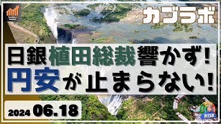 【カブラボ】6/18 日銀 植田総裁の声が市場に響かず・・そして案の定円安が止まらないッ！