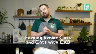 Feeding Senior Cats \u0026 Managing CKD: A Nutrition Guide for Better Kidney Health