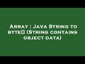 Array : Java String to byte[] (String contains object data)