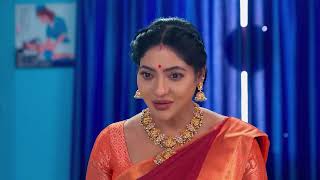 Karthigai Deepam | Ep - 702 | Webisode | Dec 30 2024 | Zee Tamil