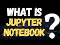 What is a Jupyter Notebook? #Shorts