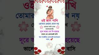 ওই জান পাখি🌸 তোমার চেহারা দেখে  নয় মন দেখে ভালোবেসেছি..!💞 #love #shorts