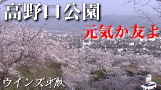 おやじソング「元気か友よ」ウインズ平阪 (歌詞付きMV)