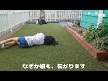 ど素人がdiy！デコボコの庭を真っ平らに！