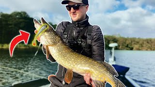 Autumn Fishing For Pike - Tips & Tricks!