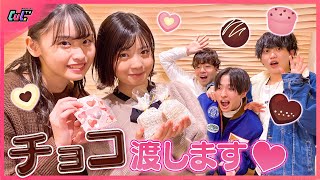 お兄ちゃん、、いつもありがとう。ツンデレ妹たちからのチョコドッキリ