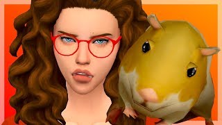 Les Sims 4 Chiens Et Chats 1 Ambre Et Topaz