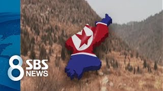 남북 첫 협력은 산림…황폐한 북한에 나무 심어준다 / SBS