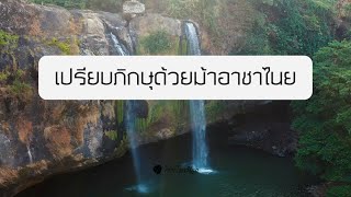 เปรียบภิกษุด้วยม้าอาชาไนย | เรื่องราวในพระไตรปิฎก