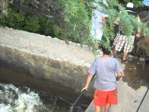 Dscn7597 Youtube