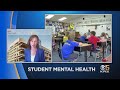 Talking Education: Student mental health program