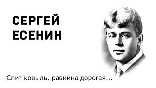 Сергей Есенин Спит ковыль  равнина дорогая Учить стихи легко Аудио Стихи Слушать Онлайн