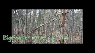 Bigfooter Gary Ep. 15 - I can hear something