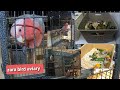 Zara  bird Aviary Tour | Pet Lifestyle and Vlogs |