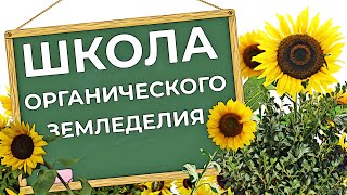 Школа органического земледелия. Органическое земледелие с чего начать. Как получить большой урожай.