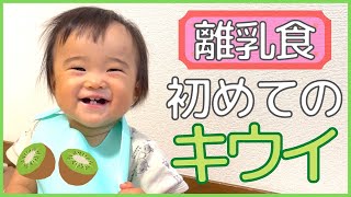 【離乳食】初めてキウイを食べさせてみた