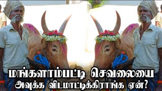 மங்களாம்பட்டி செவலையை அவுக்க விடமாட்டிக்கிராங்க ஏன்?||KOVAI KOMBANS