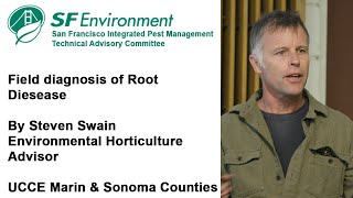 Getting to the Root of the Issue: Field Diagnosis of Root Diseases