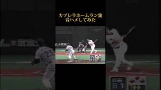 【マジかよw】カブレラホームラン集で音ハメしてみた#読売ジャイアンツ #阪神タイガース #mlb #プロ野球 #大谷翔平 #坂本勇人 #カブレラ #強風オールバック #埼玉西武ライオンズ