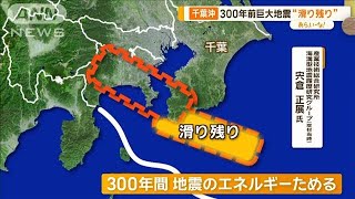 「巨大津波もたらし得る…」関東に残る2つの“滑り残り”専門家が指摘【あらいーな】【グッド！モーニング】(2024年3月11日)